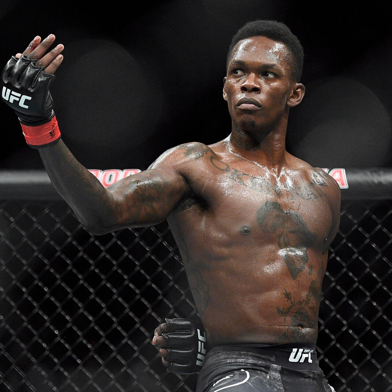 Photo d'Israel Adesanya